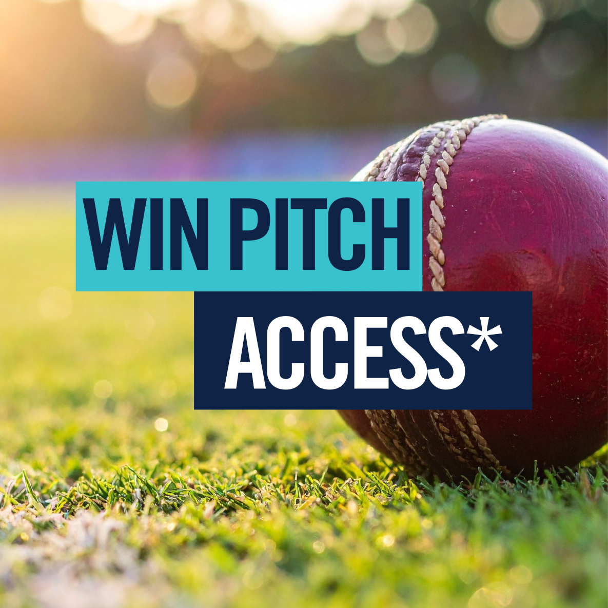 Image of cricket ball on a pitch or grass with words Win Pitch Access*